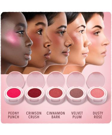 Blossom Fresh Impressions Cushion Cream Blush Face Tint in Dusty Rose - 0.17oz/5g - Buy Online on GoSupps.com