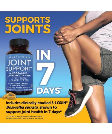 Glucosamine Chondroitin MSM Joint Support - 90 Capsules with Turmeric & Boswellia for Mobility & Comfort - Buy Online on GoSupps.com