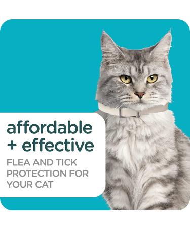 Sergeant's Guardian Pro Flea & Tick Cat Collar - 1 Count - Buy Online on GoSupps.com