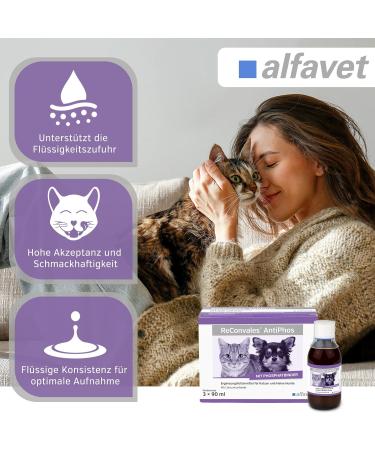 Alfavet Reconvales Antiphos - Kidney Support for Cats & Dogs | Nutritional Supplements with Phosphate Binders - 3 x 90ml Bottles - Buy Online on GoSupps.com