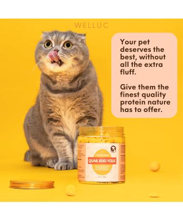 Freeze Dried Quail Egg Yolk for Cats & Dogs | Single Ingredient Raw Pet Treats | Pasture Raised - High Protein Healthy Food Topper Training Treats for Shiny Coat | 150g (5.3 oz) Resealable Jar - Buy Online on GoSupps.com
