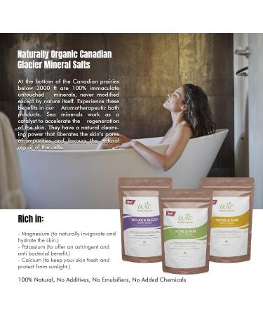 WIC Family Naturals Ache & Pain Bath Salts Bath Salts For Sore Muscles & Joints - High Magnesium Bath Salts For Women & Men w/Essential Oils & MSM - Muscle Pain Relief Bath Salt No Epsom Salt Needed (Ache & Pain) (2 Pack) - Buy Online on GoSupps.com