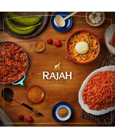 Rajah All Purpose Seasoning | 10 x 100g Pack | Premium Quality Spices - Buy Online on GoSupps.com