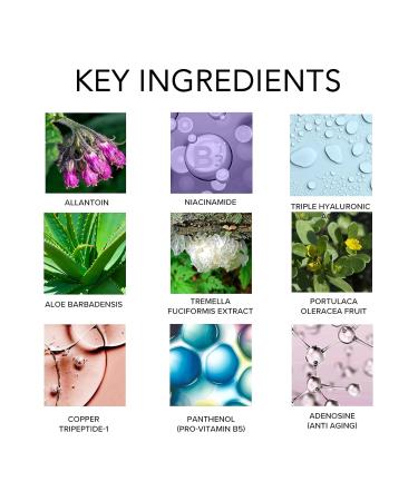 Anti Aging Serum with Niacinamide & Hyaluronic Acid - Brightens Plumps & Reduces Pores | Eternal Beauty 1 fl. oz - Buy Online on GoSupps.com