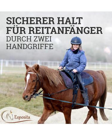 Esposita Riding Strap with Leather Handles | Child & Rider Safety | Versatile Lunging & Vaulting Belt | Blue-Black Accessories for Wooden Horses - Buy Online on GoSupps.com