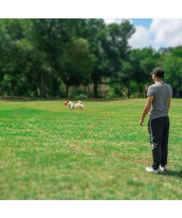 Ranypet 15m Reflecting Long Line for Cats & Small Animals - Safe Durable Leash in Orange for Kittens Puppies & Rabbits - Buy Online on GoSupps.com