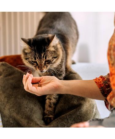 Itch | Skin & Coat Treats for Cats | With Omega 3 Biotin and Zinc for Glossy Fur | Grain Free | 4-Pack - Buy Online on GoSupps.com