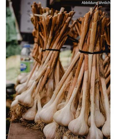 Premium Garlic Cut 2-4mm - Aromatic Garlic Spice - 70g | International Shipping Available - Buy Online on GoSupps.com