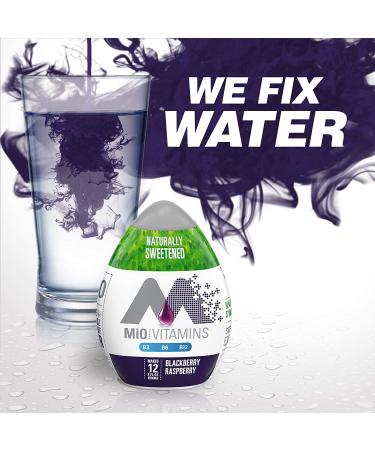 MiO Sugar-Free Blackberry Raspberry Water Enhancer 1.62 fl oz - Enhance Your Water Naturally - Buy Online on GoSupps.com
