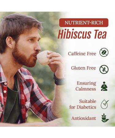  Bioprogramme Premium Quality Herbal Hibiscus Tea Bags - Pack of 5 - Buy Online on GoSupps.com