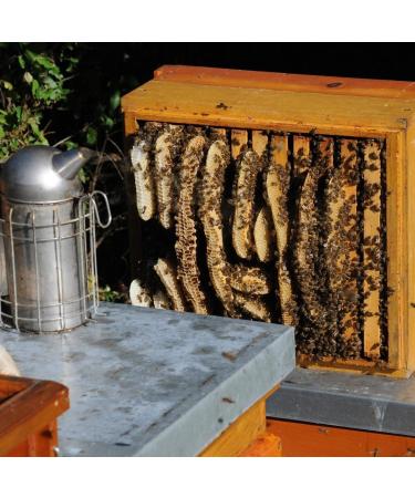 Raw linden honey from ImkerPur unfiltered uncentrifuged or heated contains flower pollen beeswax propolis bee bread and royal jelly - Buy Online on GoSupps.com