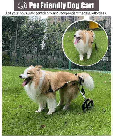 Dog Wheelchair Dog Wheelchair for Back Legs Walk Tool Adjustable Pet Wheelchair Assisted Walker Tool Pet Wheelchair Portable Medium - Buy Online on GoSupps.com