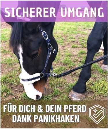 Buy Lead Rope with Panic Hook for Horses & Ponies | 1.60m Stylish Tie Rope (Black) - International Shipping Available - Buy Online on GoSupps.com