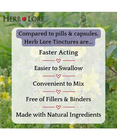 Herb Lore Mullein Tincture - Organic Mullein Drops for Lungs - Alcohol Free - 2 fl oz 2 Fl Oz (Pack of 1) - Buy Online on GoSupps.com