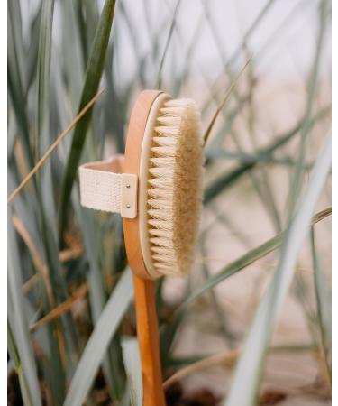 Croll & Denecke 60071 Bath Brush with Handle - Premium Quality Soft Bristles for Gentle Cleansing | International Shipping Available - Buy Online on GoSupps.com