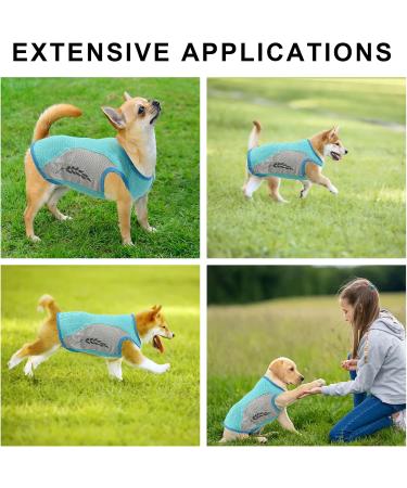 Dog Cooling Vest - Lightweight & Breathable Summer Jacket for Small to Medium Dogs | Reflective Stripes & ICE Cooling T-Shirt in Green - Buy Online on GoSupps.com