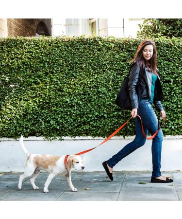 Tagme Personalized Reflective Dog Collar & Leash Set - Orange XS | 1.5m Double-Sided Leash for Small Dogs - Perfect for International Shipping - Buy Online on GoSupps.com