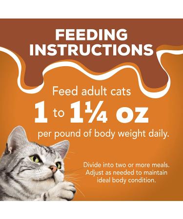 Purina Friskies Extra Gravy Chunky Wet Cat Food Variety Pack - 24 Cans - Buy Online on GoSupps.com