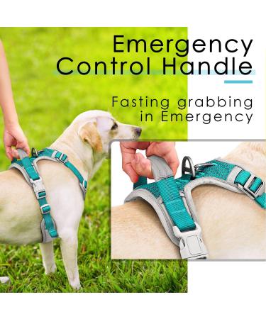 Thinkpet Anti Zug Dog Harness - Adjustable No-Choke Design with Handle Reflective & Breathable | Small Bright Blue-Green - Best for Easy Dog Control - Buy Online on GoSupps.com