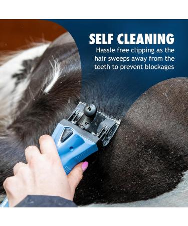 Lister A2F/AC (Fine) Blade Horse Clipper Blade Equine & Livestock Clipping Close Cutting Suitable for Horses & Livestock Animal Clipper Blade 35 Teeth 1.4mm Cutting Length - Buy Online on GoSupps.com