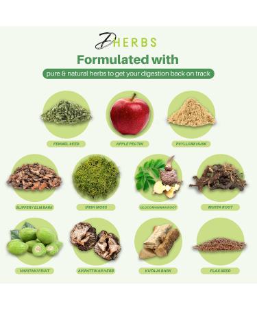 DHerbs Intestinal Cleanser Digestion Supplement 100 Vegetarian Capsules- Digestive System Cleanse Capsules Made with Pure Herbs - Colon Cleanse Supplement for Overall Gut Wellness - Buy Online on GoSupps.com