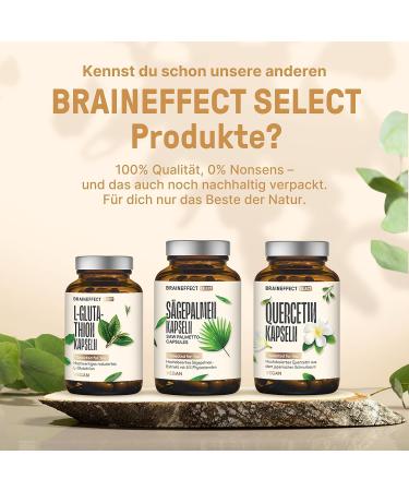 Buy Braineffect Saw Palmetto Extract 280mg - 180 Vegan Capsules No Magnesium Stearate German Quality 5% Phytosterols | High-Dose Saw Palmetto - Buy Online on GoSupps.com