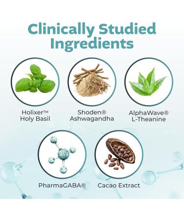 Big Valley Labs Advanced Stress Support Holy Basil Shoden Ashwagandha AlphaWave L-Theanine PharmaGABA Cacao Theobromine Calm & Clarity Formula Vegan Non-GMO Gluten-Free 60 Capsules - Buy Online on GoSupps.com
