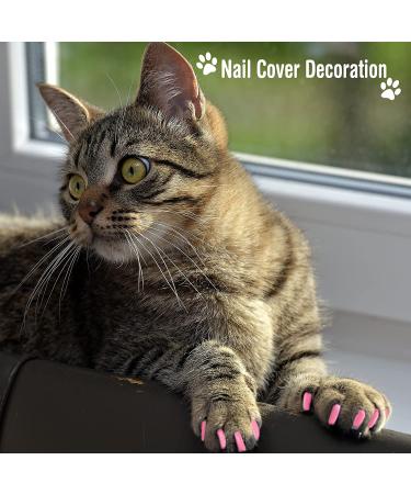 9-Piece Cat Bathing Set - Anti Bite & Scratch Grooming Bag, Brush, Comb, Muzzle, Nail Clipper, File, Tick Tool - Pink - Buy Online on GoSupps.com