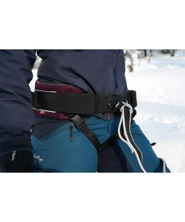 Trekking Belt by Nonstop - Best Running Jogging & Hiking Belt for Dogs (M Purple) | International Shipping Available - Buy Online on GoSupps.com