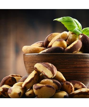 Organic Medium Brazil Nuts - Fresh Raw Nuts from The Amish Eco-Farm | 2.5 lb Jar - Buy Online on GoSupps.com