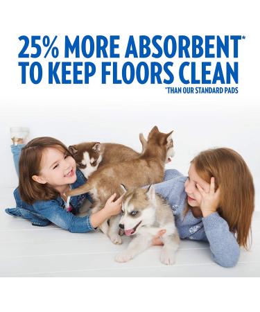 OUT! Heavy Duty XXL Dog Pads - 30 Absorbent Pet Training Pads | 26 x 30 Inches - Buy Online on GoSupps.com