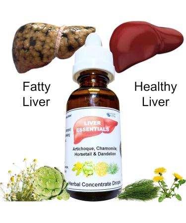 ALKAVITA Liver Support Cleanse - Pure Organic Fatty Liver Purifier & Detox Concentrate Drops with Artichoke, Dandelion, Chamomile, and Horsetail - Buy Online on GoSupps.com