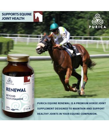 PURICA - Equine Renewal 300g Powder - Beyond Glucosamine - Ideal for Maintaining The Joint Health and Mobility of Horses - Supports Fluid Movement - Buy Online on GoSupps.com