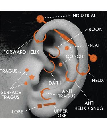 BodyJ4You 36PC PRO Body Piercing Kit | Surgical Steel Nose Septum Ear Cartilage Lip Belly Navel Tragus Eyebrow Jewelry Set with Tools and Gloves - Buy Online on GoSupps.com