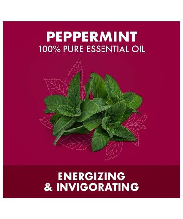 SheaMoisture Peppermint Body Oil - 100% Pure Essential Oil, Uplifting and Energizing - 0.45 oz - Buy Online on GoSupps.com