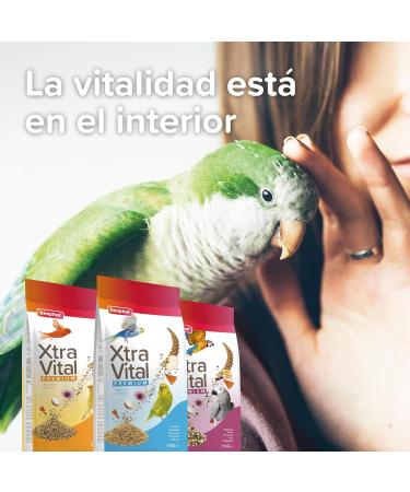 BEAPHAR XTRAVITAL Premium Food for Parrot Contains Fruits Seeds and Egg Pate Strengthens the Immune System Provide - Buy Online on GoSupps.com