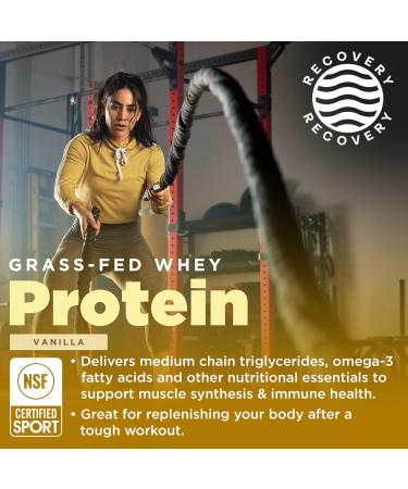Gnarly Nutrition Vanilla Protein Powder NSF Sport Certified 25g Protein Muscle Repair Grass Fed Whey Powder Smooth Taste Vanilla 32 oz Vanilla Canister (20 Servings) - Buy Online on GoSupps.com