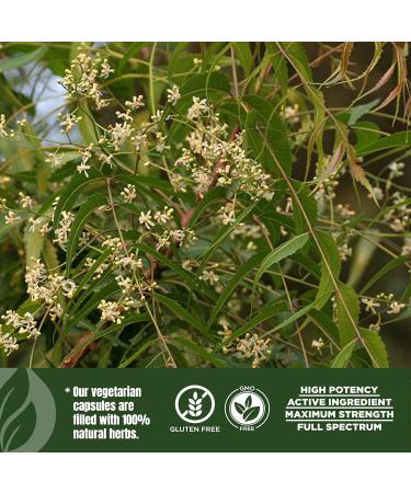 HerbsForever Neem(Azadirachta Indica)-Extra Strength(10:1)Extract Equiv.to 2450mg Leaves Powder Per Serving-Supports Immunity Clear Skin Face Complextion & Blood purify|5%Bitters|60Veg Capsule|750mg - Buy Online on GoSupps.com