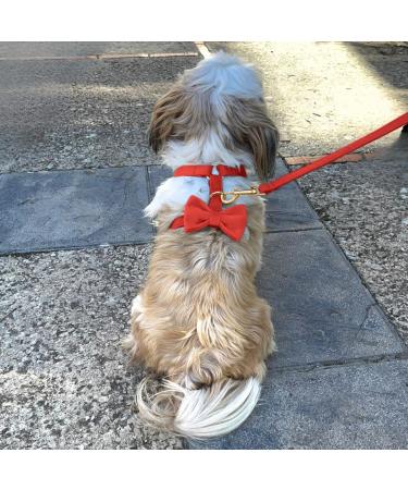 Premium H-Shaped Dog Harness with Multi-Position Leash & Velvet Loop - Ideal for Small Medium & Large Dogs (Red M) | Durable & Comfortable - Buy Online on GoSupps.com