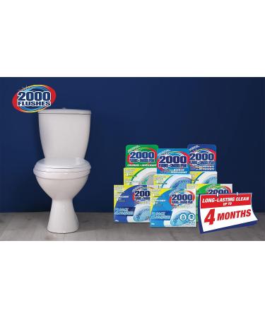 2000 Flushes Automatic Toilet Bowl Cleaner | Clear with chlorine 35g | Makes scrubbing easier by cleaning and refreshing your toilet bowl with each flush | 90615 | 1 Cube - Buy Online on GoSupps.com