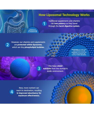 Core Med Science Liposomal Vitamin C 1000mg Liquid - Original Formula 5 Fl Oz - Natural Liposomal Vitamin C Supplement Non-GMO - Immune System Booster for Adults - Supports Collagen Formation - Buy Online on GoSupps.com