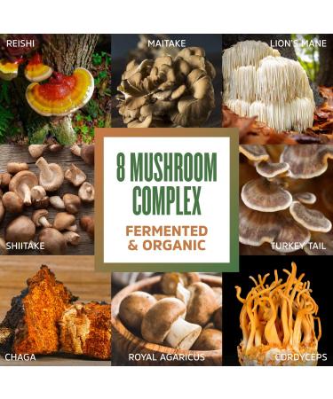 Zhou Nutrition Mushroom 8-Plex Powder - 2.14 oz (60 g) | Immune Support & Health Boost - Buy Online on GoSupps.com