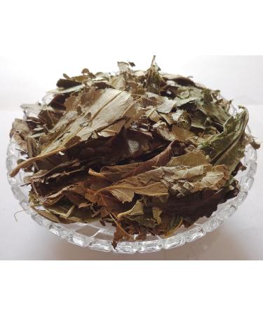 RAW HERB/JADI BOOTI HARSHRINGAR PATTA PAARIJAAT LEAF PARIJAT LEAVES HARSHINGAR PATTA NYCTANTHES ARBOR-TRISTIS (250gm) - Buy Online on GoSupps.com