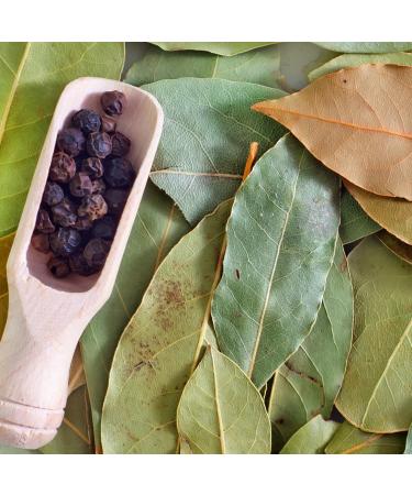  Tazarin LTD TazarinLtd 100 g Bay Leaves Crushed - Bay Powder - Intense Aroma and Taste - 100% Natural Pure and No Additives - Buy Online on GoSupps.com