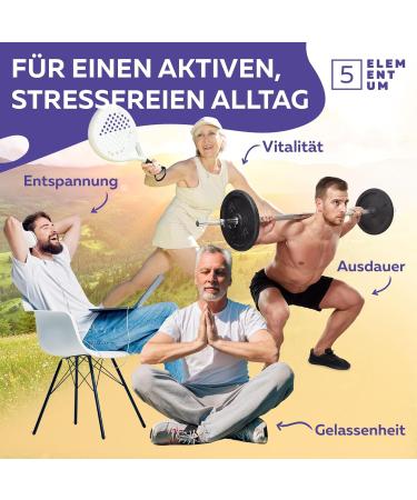 5 elementum Shilajit Sea Moss Ashwagandha Black Cumin Oil Fadogia Agrestis & Manuka Honey 25g 82 Fulvic Acid Mumijo Shilajit High Dose I Natural Flavor I 60 Days Solar Drying - Buy Online on GoSupps.com