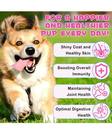 Collagen for Dogs Liquid Collagen for Dogs Dog Collagen-Skin and Coat Supplement for Dogs Collagen Dog Bacon Flavor-2 fl oz - Buy Online on GoSupps.com