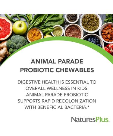 Natures Plus Animal Parade Probiotic for Kids - Mixed Berry Chewables | 30 Vegan Gluten-Free Servings | Supports Gut Health & Immune Function - Buy Online on GoSupps.com
