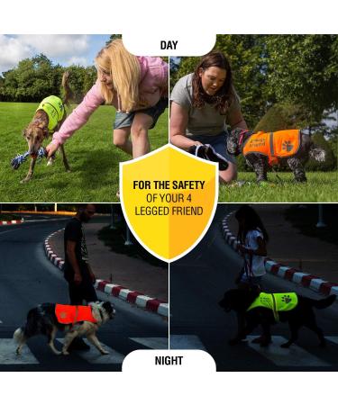 4Legriend Dog Security Vest - High Visibility Blaze Orange XL | Outdoor Safety for Dogs - 5 Sizes Available - Buy Online on GoSupps.com