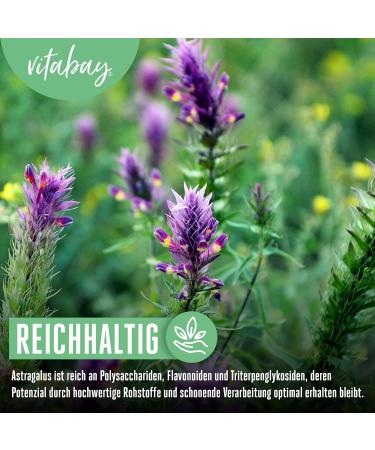 Vitabay Astragalus Extract 180 Vegan Capsules - 1600mg High Dose 10% Polysaccharides Lab-Tested Quality - Buy Online on GoSupps.com