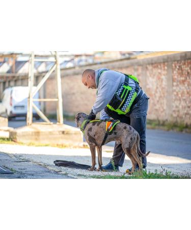 Julius-K9 Mantrailing & Outdoor Dog Harness - Size M Black | International Shipping Available - Buy Online on GoSupps.com